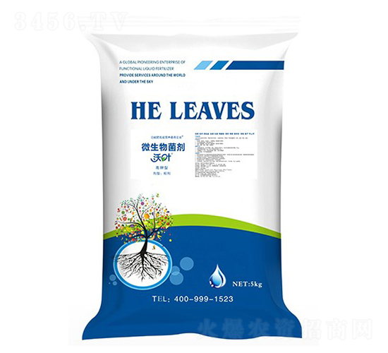 ���~΢������������-����ʩ