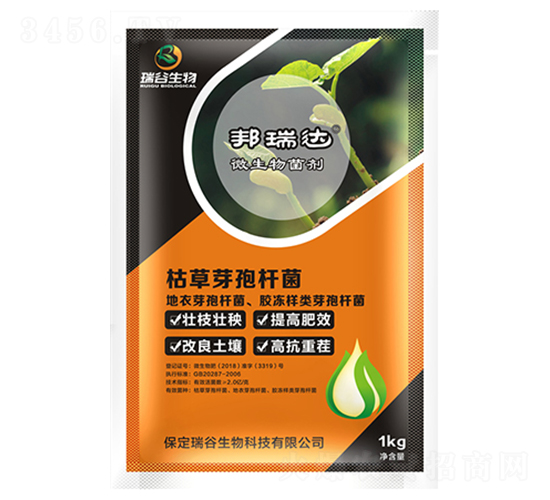 �ݲ�ѿ�ߗU��-�����_(d��)-�������