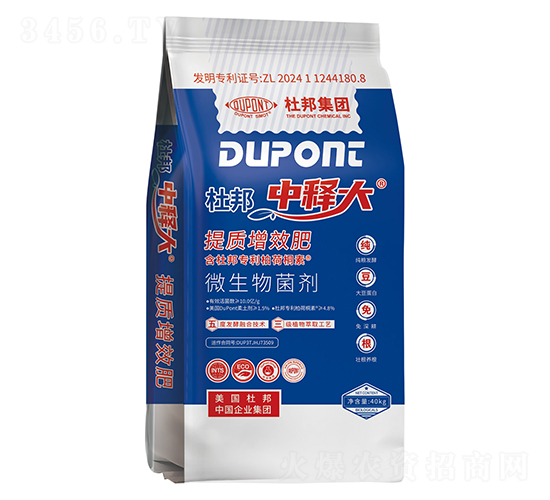 ���|��Ч��-��ጴ�-�Ű�