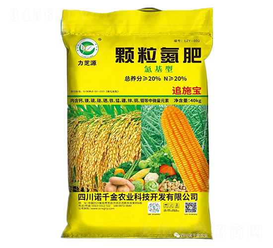 ����������w������-��֥Դ-�Zǧ���r�I(y��)