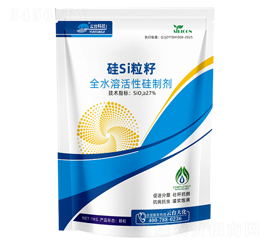 ��Si����-���_(t��i)��