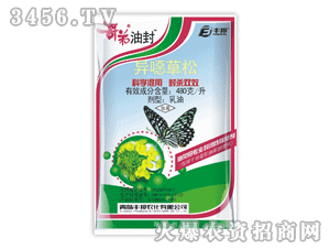 ����ͷ�-���f����