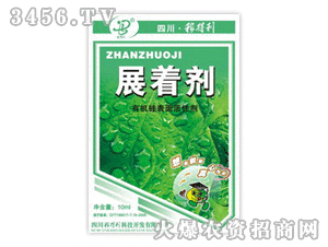 �ڵ���-չ����