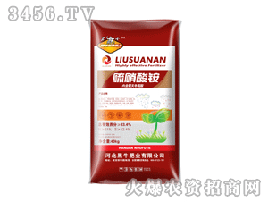 ��ţ-�����᰷