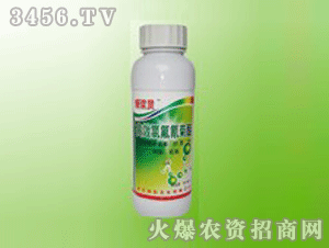 ����-���{�`