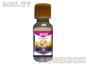 ���S-ͨ����30g�(q��)�B��ˮ��