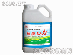 ����ʘI(y��)-���܄���