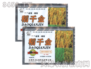 �ٴ�-��ǧ��