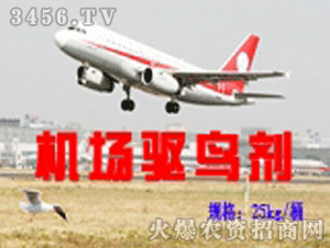 �ٴ�-�C���(q��)�B��