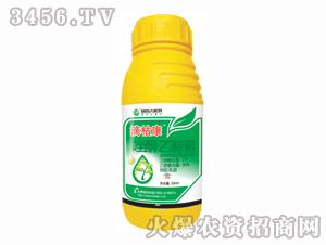 ��ِ��-�οݿ�