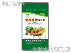 ǭ�l(f��)-�����S������ЙC��