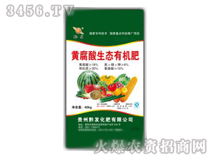 ǭ�l(f��)-�S������ЙC��