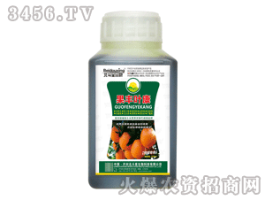 ������-���S�~�����ٌ���