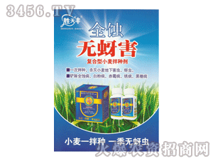 ������-ȫ�g�o(w��)����