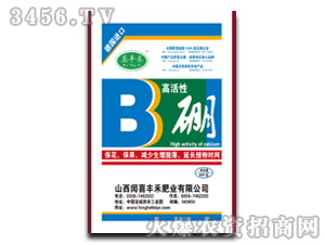 �S�̷ʘI(y��)-�߻���1+1��