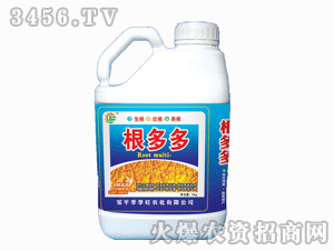 ������-�����