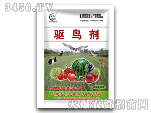 �ٴ�-�(q��)�B���ۄ�