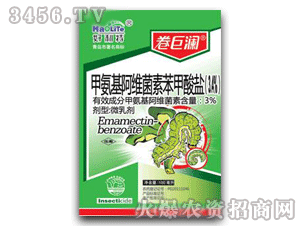 ���ޞ�-�װ������S���ر������}������