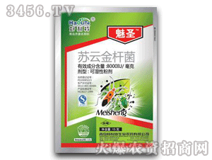 ��ʥ-�K�ƽ�U��