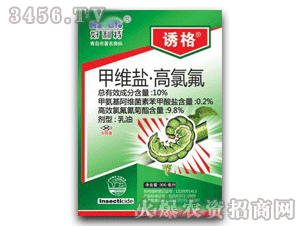 �T��-�׾S�}���ȷ�������