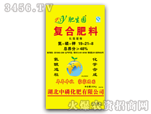 �����@19-21-8cl