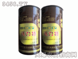 �����أ��ޣ�