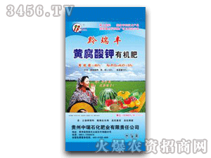 ǭ���S-�S������ЙC��