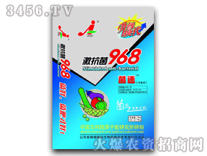 �Ӽ���-���ټ�����968