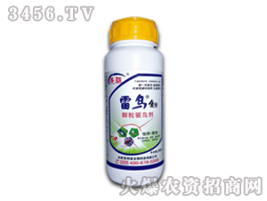 �ٴ�-���B4̖(h��o)-�w���(q��)�B��