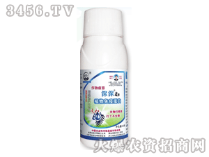 ��������-����2̖