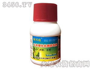 ���װ�������������-���p��