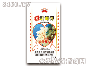 �A��-����-��ɺ���