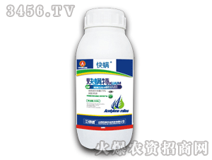 ���h-����-Ȳ����