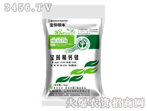 ����T�S-���ﾫ�}�V