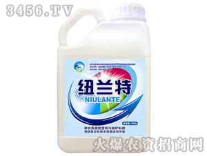 �����I(y��ng)�B(y��ng)-�~�m��