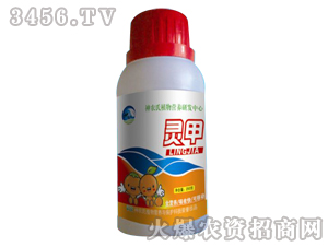 ֲ��I�B(y��ng)-�`��