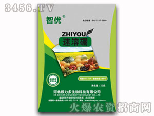 �ǃ�(y��u)������20G