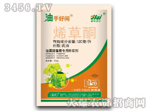 12%ϩ��ͪ-���ֺ��e