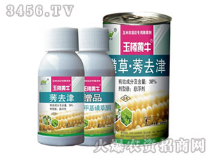 38%ݬȥ��+15%�׻��ǲ�ͪ-�����Sţ