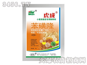 10%����¡-����