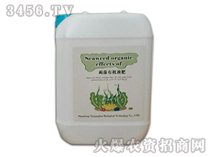 �����ЙCҺ��-���㺣����