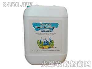 �����ЙCҺ��-���㺣����