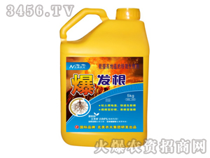 �_ʩ��-���l(f��)��-�����r(n��ng)��