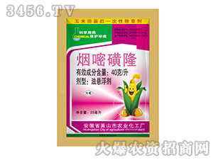 40��/�����׻�¡-�{���r(n��ng)�I(y��)