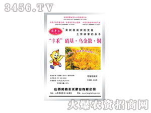 ������-��������ɢ�~-�S�̷ʘI(y��)