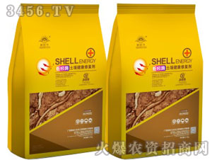 ���ø���������ޏ�(f��)��-����