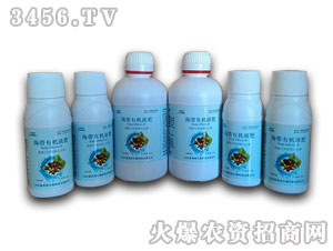 �����ЙCҺ�ʣ��M�ϣ�-���㺣