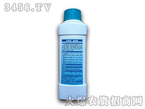 ����Һ�ʣ����棩-���㺣