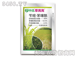 60%�S�ױ��������݄�-��Ѹ���x�x