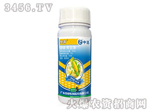 55%����ݬȥ����݄�-�̵�-��Ѹ